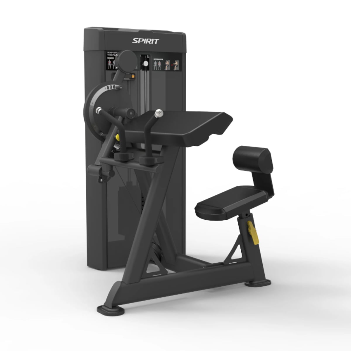 Spirit Dual Biceps Curl   Triceps Extension