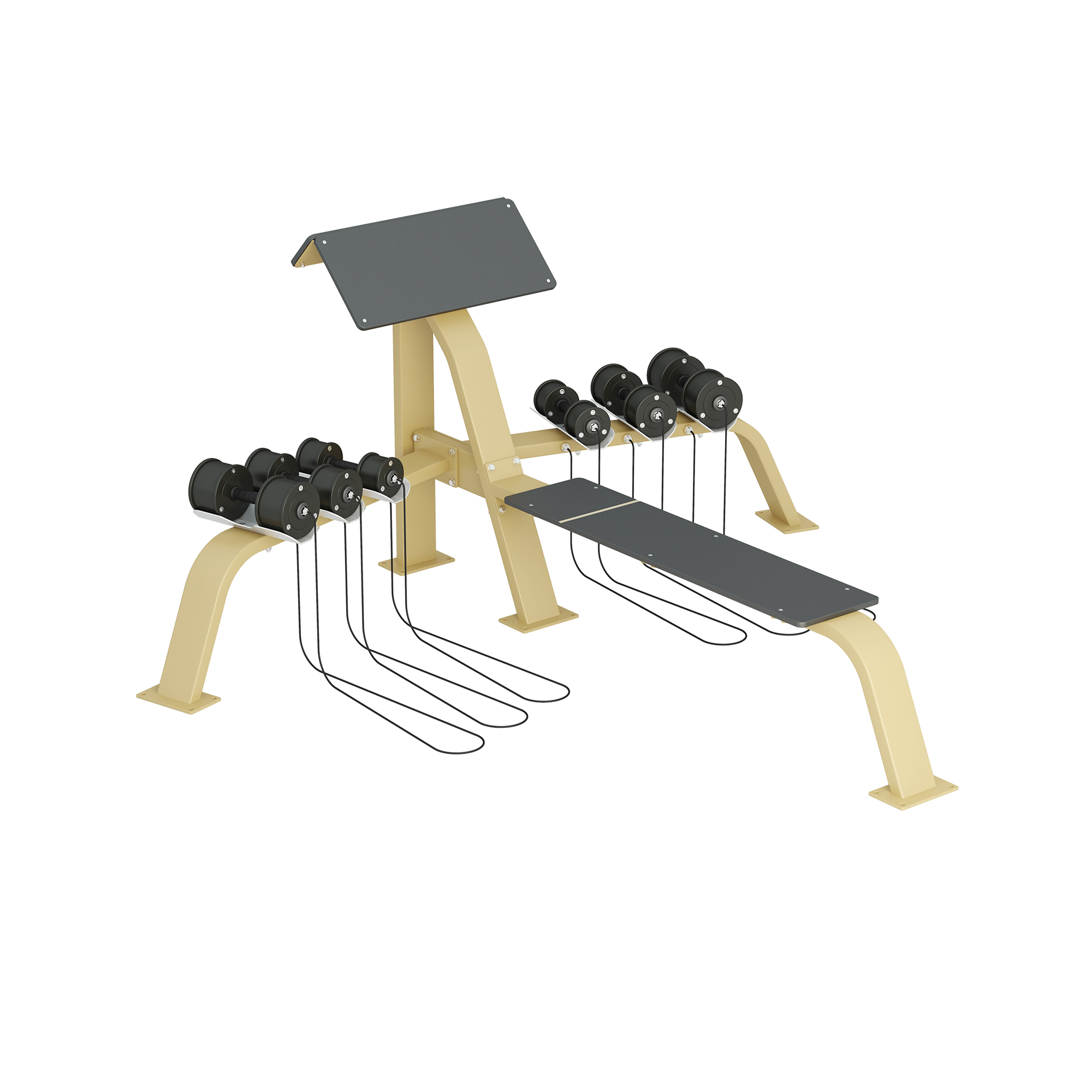 Inter Atletika Scott Bench Bench Press With Dumbells Galvanized